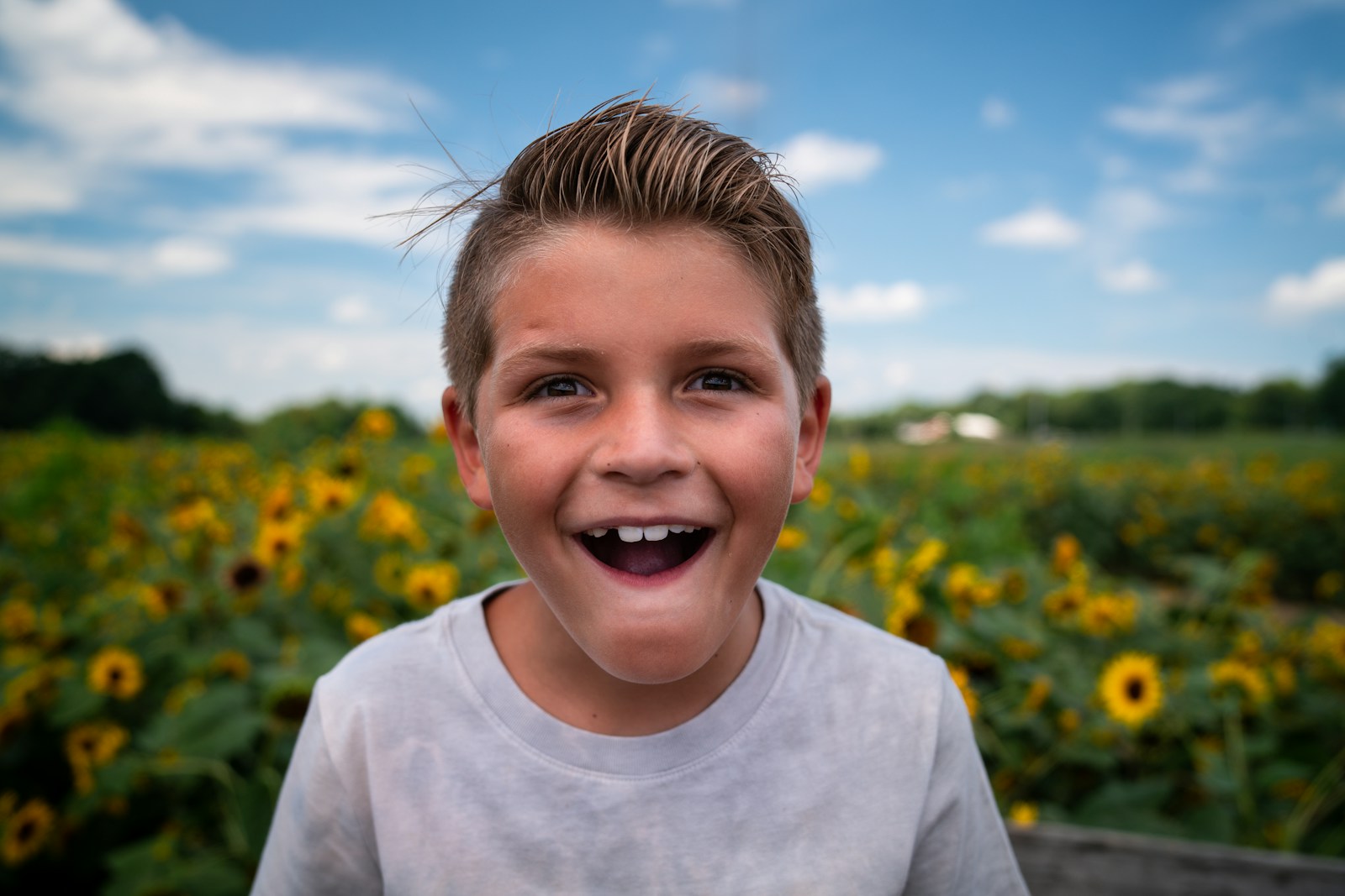 Boy in white crew neck shirt standing on yellow flower field during daytime