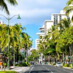 a street lined with palm trees and tall buildings