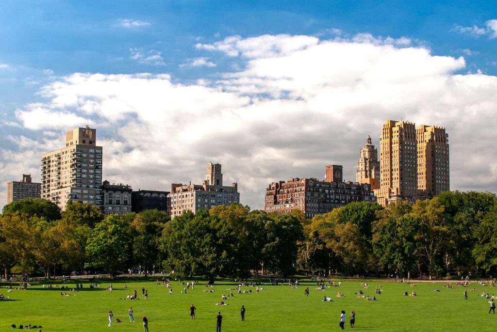 people playing soccer on green grass field during daytime